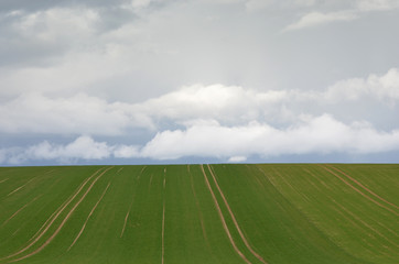 Obraz premium ciel gris