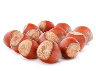 hazelnut or filbert nut isolated on white background cutout