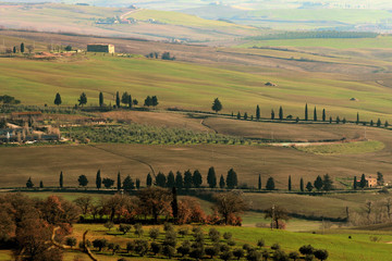 Fototapeta premium Tuscany Hills