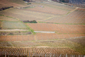 Vosne-Romanée