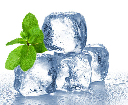 ice cubes and mint