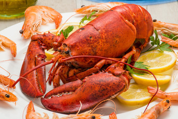 Astice rosso su un piatto contornato da gamberi