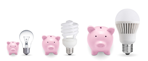 Piggy banks and different light bulbs. Concept for saving money