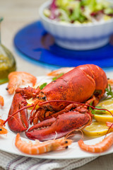 Astice rosso su un piatto contornato da gamberi