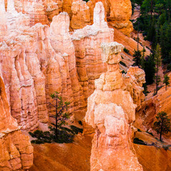 Bryce Canyon, Thor's Hammer