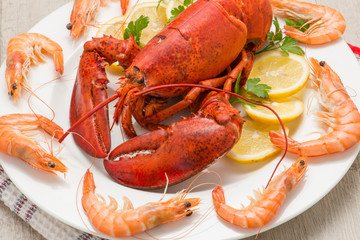 Astice rosso su un piatto contornato da gamberi