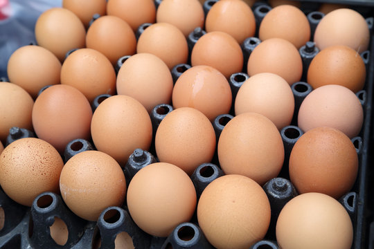 egg trays at the market