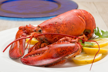 Astice rosso posto su un piatto