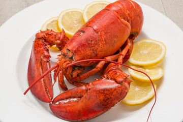 Astice rosso posto su un piatto