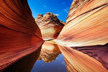 The Wave in Arizona, Reflections