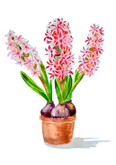 home flowers in a vase. watercolor