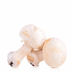 raw mushrooms isolated
