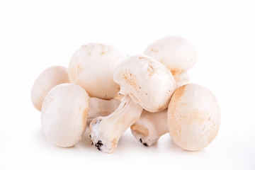 raw mushrooms isolated