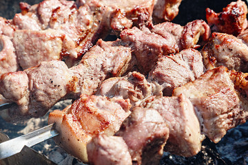 Shashlik barbecue prepared on a vine wood coa