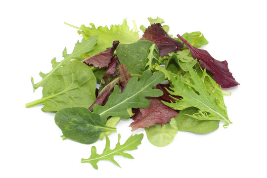 Salade mesclun - Mesclun salad