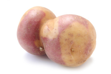Potato 
