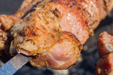 Appetizing hot shish kebab on metal skewers in a sunny day
