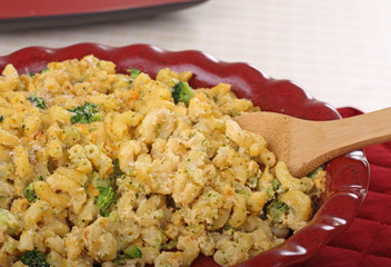 Macaroni and Cheese Closeup