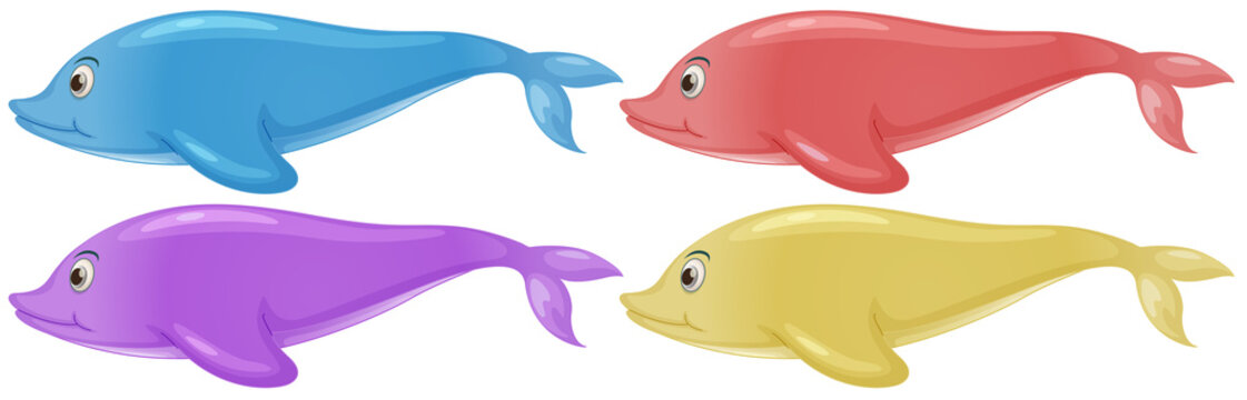 Four colorful dolphins