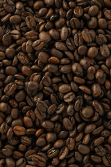 コーヒー豆　Coffee beans