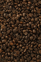 コーヒー豆　Coffee beans