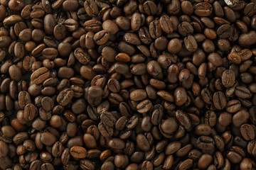 コーヒー豆　Coffee beans