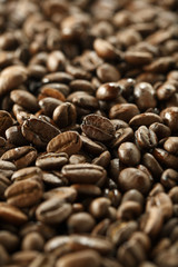 コーヒー豆　Coffee beans