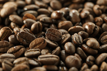 コーヒー豆　Coffee beans