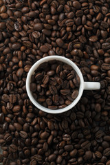 コーヒー豆　Coffee beans