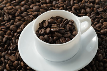 コーヒー豆　Coffee beans