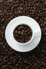 コーヒー豆　Coffee beans