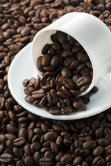 コーヒー豆　Coffee beans