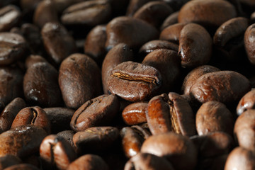 コーヒー豆　Coffee beans