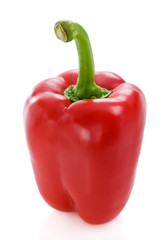 Pepper isolated on white background
