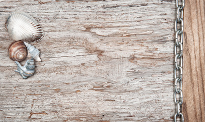 Metal chain and seashells on the old wood