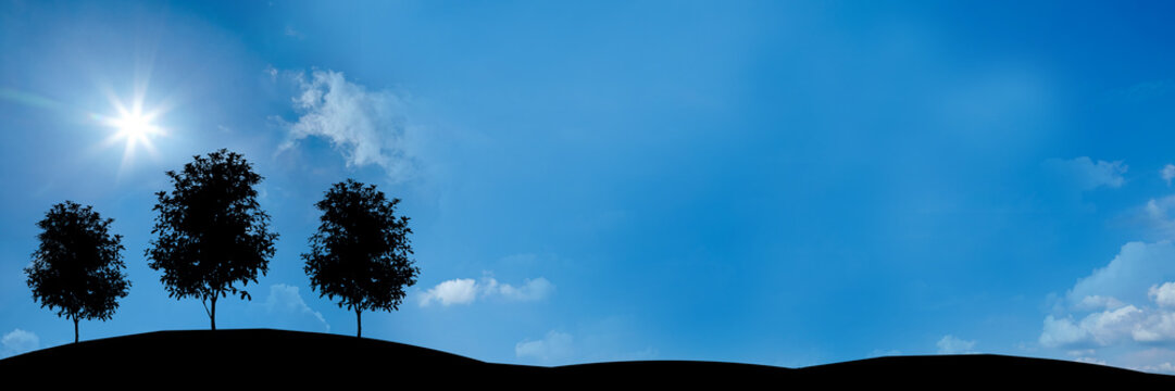 website banner - 3 baeume - format 3 zu 1 - g726