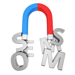 SMM magnet