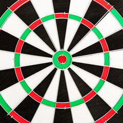 Classic Darts Board