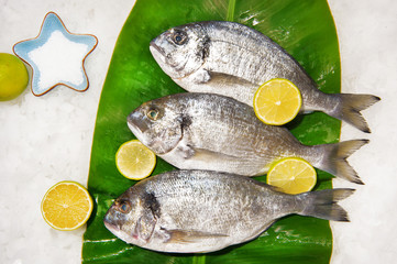 Dorada fish on a banana leaf
