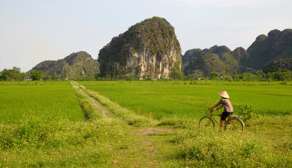 paysage karstique au vietnam