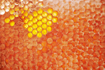 honey comb as background