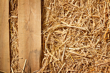 vintage background of wood plank and dry grass, hay design © 9nong