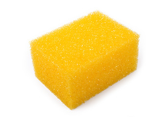 isolated sponge