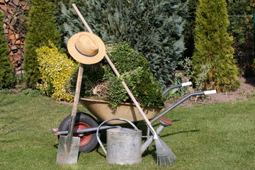 Gärtnerwerkzeug steht in Schubkarre in Garten