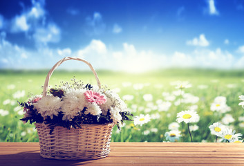 Fototapeta na wymiar flowers on table and spring field