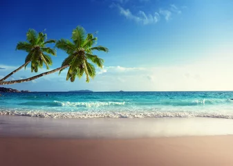 Küchenrückwand glas motiv Strand und Meer Sonnenuntergang am Strand der Seychellen