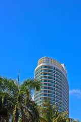Residential skyscraper and palm trees against bright blue sky.