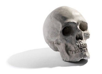 Human skull on a white background