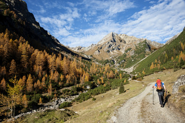 Autumn in the Alps