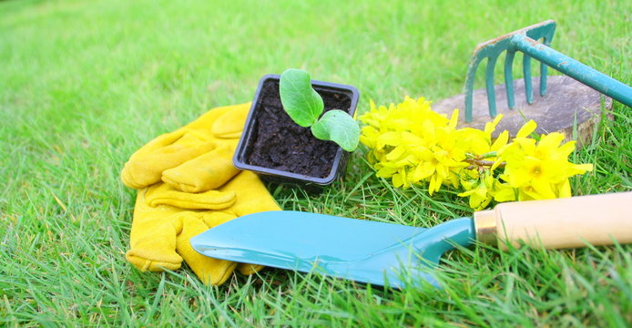 outils de jardinage,gants et ustensile